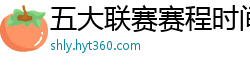 五大联赛赛程时间表2024年